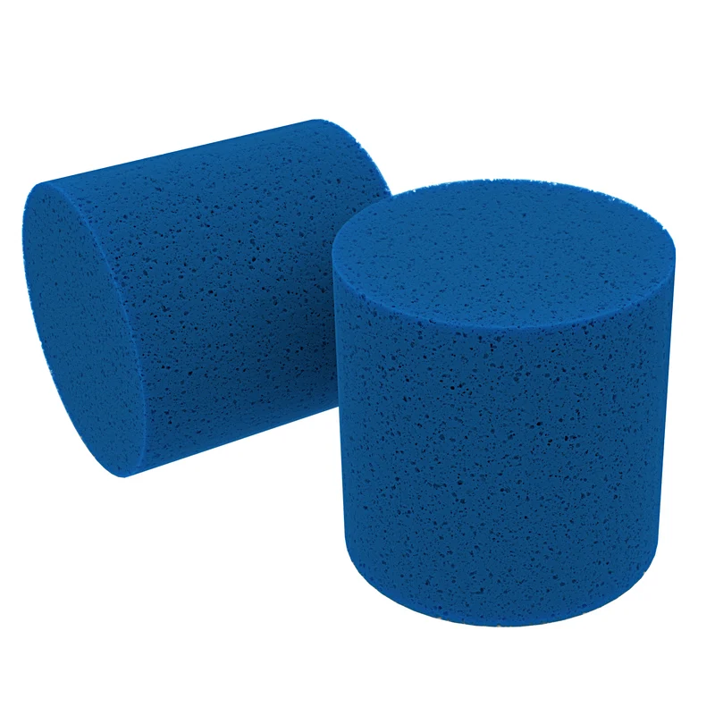 iHSV2 / iHSV3 Dust Canister Sponge Filter