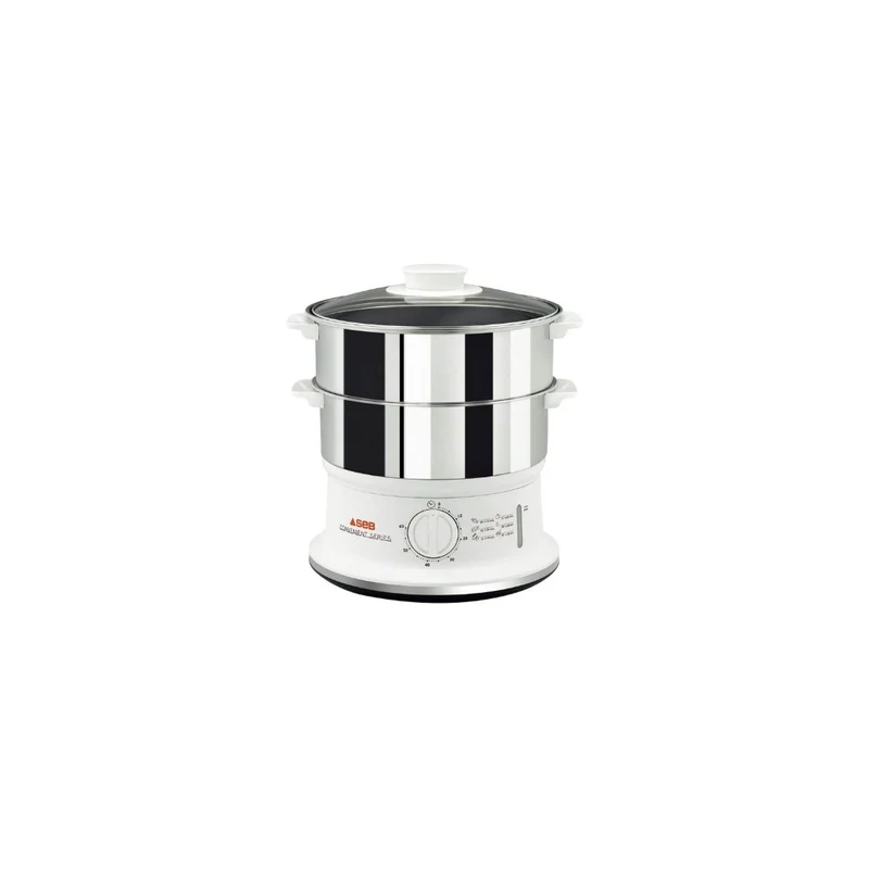 SEB Stainless Steel Steamer Pot 900W
