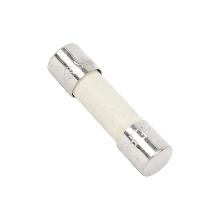 Fusível para micro-ondas Electrolux 50287203009