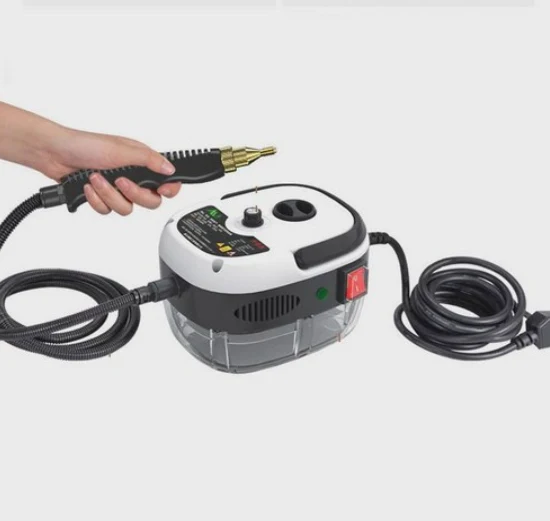 Cecaro Group - Pulitore a Vapore 2500W Portatile con Accessori