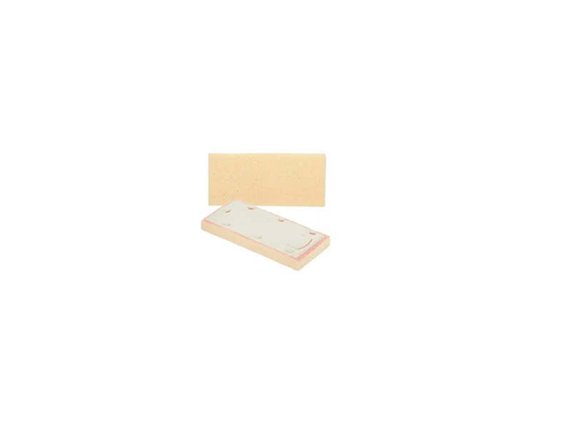 Raimondi - Frattone Spugna Sweepex 13x30 cm Senza Manico