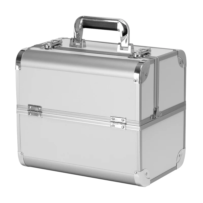 Beautycase Professionale Mod. 40 (silver)